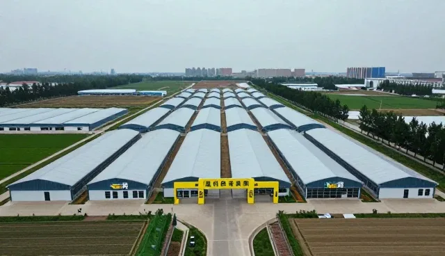 区域企业定位系统的性能考量与适用场景分析